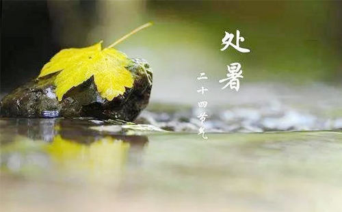 【處暑啟新程，龍輝建設(shè)筑夢未來】